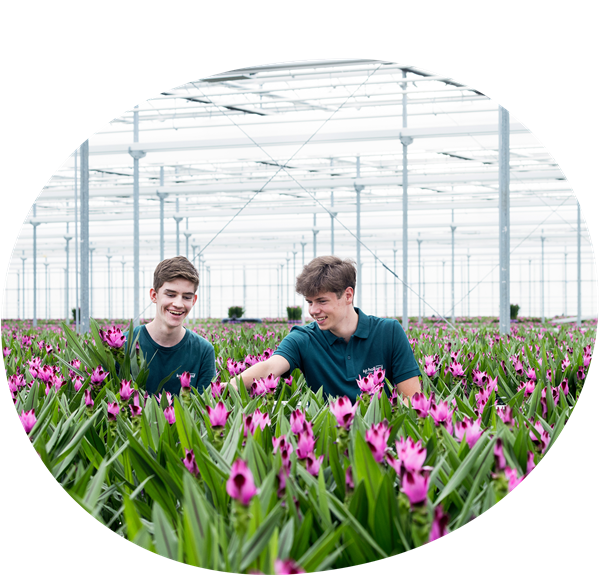 De leukste (bij)baan vind je bij KP Holland!